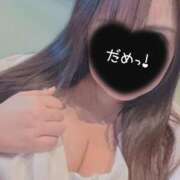 ヒメ日記 2026/02/20 15:44 投稿 ひなた 茨城ちゃんこ土浦つくば店