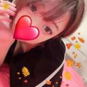 ヒメ日記 2025/11/04 08:44 投稿 ななせ 桃李（とうり）