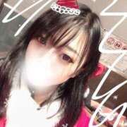 ヒメ日記 2025/12/24 10:34 投稿 ななせ 桃李（とうり）