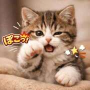 ヒメ日記 2026/01/14 22:04 投稿 ななせ 桃李（とうり）