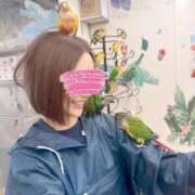 ヒメ日記 2025/10/30 12:26 投稿 真由子 あおば睾丸診療所