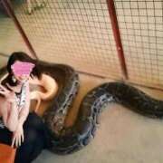 ヒメ日記 2025/12/18 12:16 投稿 真由子 あおば睾丸診療所