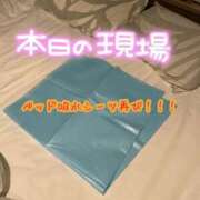 ヒメ日記 2025/10/11 23:34 投稿 りょうこ でりどす