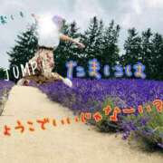 ヒメ日記 2025/10/15 17:19 投稿 りょうこ でりどす