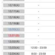 みらい 今月のスケジュール🗓️ 恋するバニー