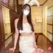 ヒメ日記 2025/12/30 08:48 投稿 みらい 恋するバニー