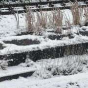 ヒメ日記 2026/02/08 09:26 投稿 なな ラッシュアワー