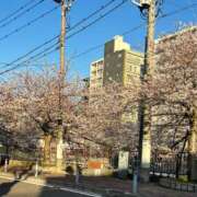 なな まだまだ🌸 ラッシュアワー