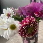 ヒメ日記 2026/01/19 15:00 投稿 りほ FAIRY Fukuoka Nakasu