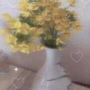 ヒメ日記 2026/03/23 16:50 投稿 りほ FAIRY Fukuoka Nakasu