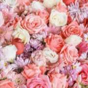 ヒメ日記 2025/09/10 13:33 投稿 いおり 出会い系人妻ネットワーク錦糸町～小岩編