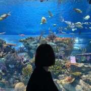 ヒメ日記 2025/12/03 23:14 投稿 あみ マリン熊本本店