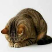 ヒメ日記 2026/01/08 21:01 投稿 結城のぞみ ミセスレディ