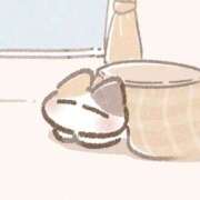 ヒメ日記 2025/11/23 06:34 投稿 みるき マリン熊本本店