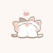 ヒメ日記 2025/11/27 14:04 投稿 みるき マリン熊本本店