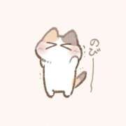 ヒメ日記 2025/11/29 07:26 投稿 みるき マリン熊本本店