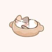 ヒメ日記 2025/11/30 06:24 投稿 みるき マリン熊本本店