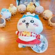 ヒメ日記 2025/12/02 08:14 投稿 みるき マリン熊本本店