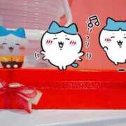 ヒメ日記 2025/12/07 22:41 投稿 みるき マリン熊本本店