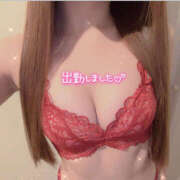 ヒメ日記 2025/12/14 20:46 投稿 りんか ギャルズネットワーク神戸