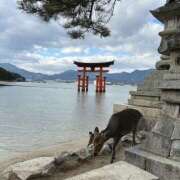 りんか お礼❤️ ギャルズネットワーク神戸