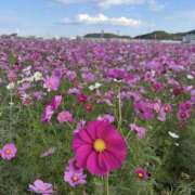 りんか ムラムラしてる？🍌💛 クラブバレンタイン神戸西店