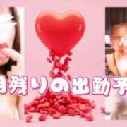 ヒメ日記 2026/02/20 14:05 投稿 なおみ 恍惚大阪店