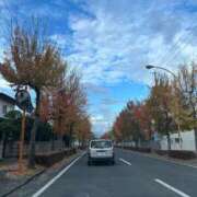 ヒメ日記 2025/11/16 20:05 投稿 いぶ 恍惚大阪店