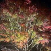 ヒメ日記 2025/11/25 19:05 投稿 いぶ 恍惚大阪店