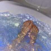 ヒメ日記 2025/09/08 18:56 投稿 ありな 深海魚