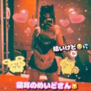 ヒメ日記 2026/06/02 06:38 投稿 ありな 深海魚