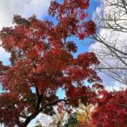 ヒメ日記 2025/11/27 09:39 投稿 みき ぐっすり山田　大阪店