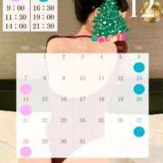 Mao Jouka 12月スケジュールのお知らせ ELEGANT－エレガント－