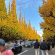 Mao Jouka ご報告と御礼 ELEGANT－エレガント－