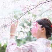 ヒメ日記 2026/04/17 20:31 投稿 Mao Jouka ELEGANT－エレガント－