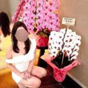 ヒメ日記 2026/09/28 19:05 投稿 Mao Jouka ELEGANT－エレガント－