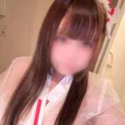 ヒメ日記 2025/11/03 09:33 投稿 あまえ 横浜ひよこ倶楽部