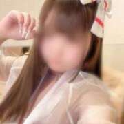 ヒメ日記 2025/11/21 10:46 投稿 あまえ 横浜ひよこ倶楽部