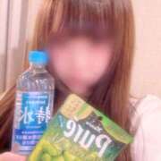 ヒメ日記 2026/01/28 10:26 投稿 あまえ 横浜ひよこ倶楽部