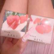 ヒメ日記 2026/03/14 10:23 投稿 あまえ 横浜ひよこ倶楽部