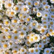 ヒメ日記 2025/12/27 21:17 投稿 うみ 池袋コスプレサンシャイン（シンデレラグループ）