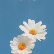 ヒメ日記 2025/12/28 12:02 投稿 うみ 池袋コスプレサンシャイン（シンデレラグループ）