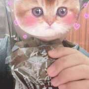 うみ 今日のお供? 池袋コスプレサンシャイン（シンデレラグループ）