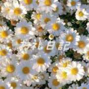 うみ ?スイートパーク Sさん 池袋コスプレサンシャイン（シンデレラグループ）