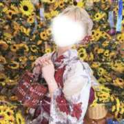 ヒメ日記 2026/07/29 13:47 投稿 さ～な ビギナーズ神戸