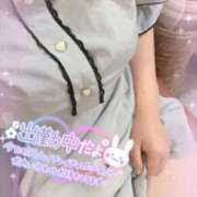 ヒメ日記 2025/09/09 18:20 投稿 ライラック 飾窓