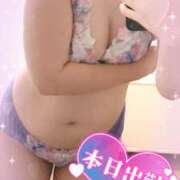 ヒメ日記 2025/09/24 12:55 投稿 ライラック 飾窓