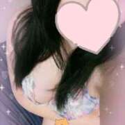 ヒメ日記 2025/10/27 17:23 投稿 ライラック 飾窓