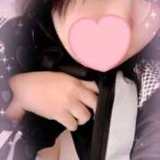 ヒメ日記 2025/11/03 09:49 投稿 ライラック 飾窓