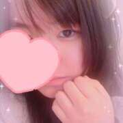 ヒメ日記 2025/11/09 11:00 投稿 ライラック 飾窓